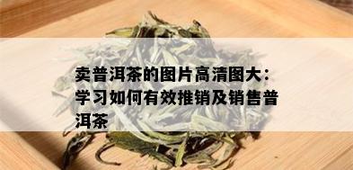 卖普洱茶的图片高清图大：学习如何有效推销及销售普洱茶