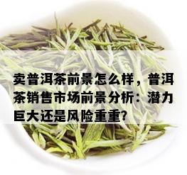 卖普洱茶前景怎么样，普洱茶销售市场前景分析：潜力巨大还是风险重重？