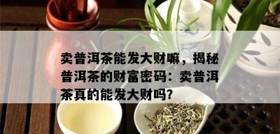 卖普洱茶能发大财嘛，揭秘普洱茶的财富密码：卖普洱茶真的能发大财吗？