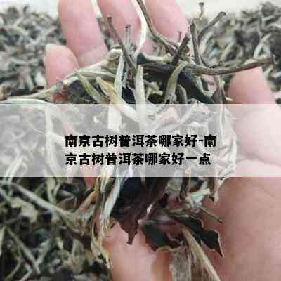 南京古树普洱茶哪家好-南京古树普洱茶哪家好一点