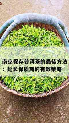 南京保存普洱茶的更佳方法：延长保质期的有效策略