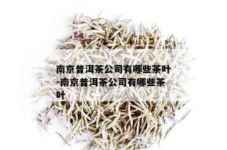 南京普洱茶公司有哪些茶叶-南京普洱茶公司有哪些茶叶