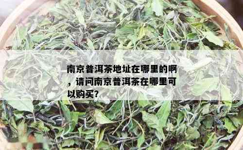 南京普洱茶地址在哪里的啊，请问南京普洱茶在哪里可以购买？