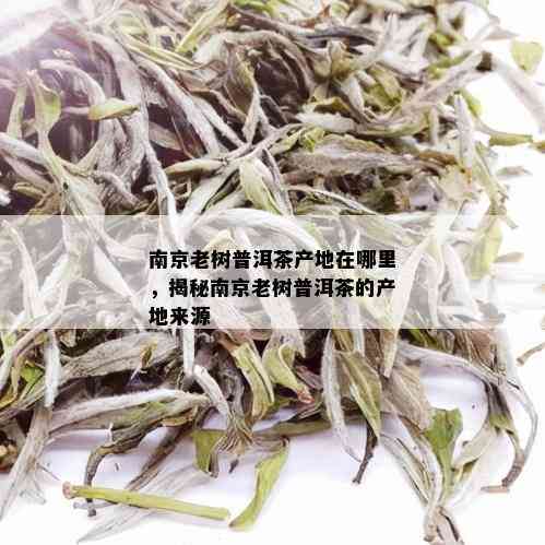 南京老树普洱茶产地在哪里，揭秘南京老树普洱茶的产地来源