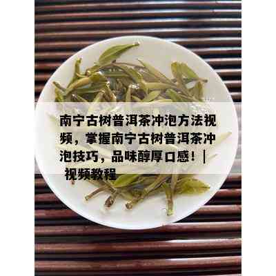 南宁古树普洱茶冲泡方法视频，掌握南宁古树普洱茶冲泡技巧，品味醇厚口感！| 视频教程