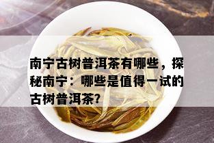 南宁古树普洱茶有哪些，探秘南宁：哪些是值得一试的古树普洱茶？