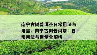 南宁古树普洱茶日常用法与用量，南宁古树普洱茶：日常用法与用量全解析