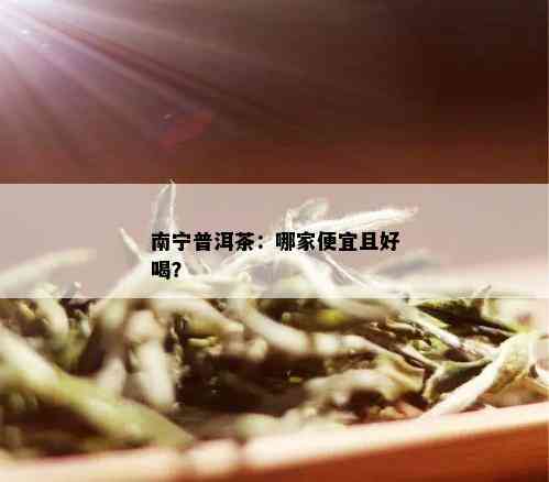 南宁普洱茶：哪家便宜且好喝？