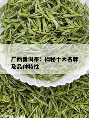 广西普洱茶：揭秘十大名牌及品种特性