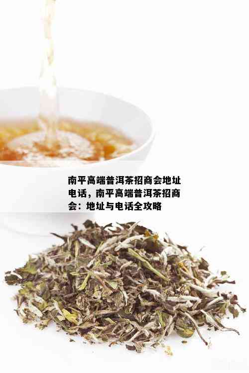 南平高端普洱茶招商会地址电话，南平高端普洱茶招商会：地址与电话全攻略