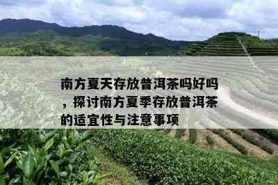 南方夏天存放普洱茶吗好吗，探讨南方夏季存放普洱茶的适宜性与注意事项