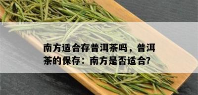 南方适合存普洱茶吗，普洱茶的保存：南方是否适合？