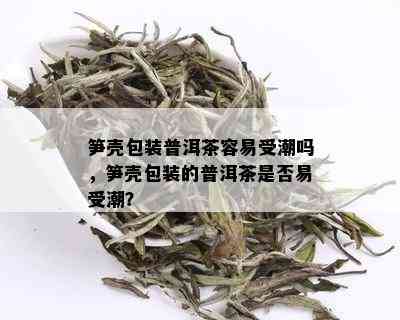 笋壳包装普洱茶容易受潮吗，笋壳包装的普洱茶是否易受潮？