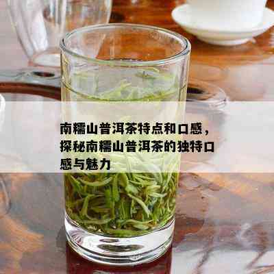 南糯山普洱茶特点和口感，探秘南糯山普洱茶的独特口感与魅力