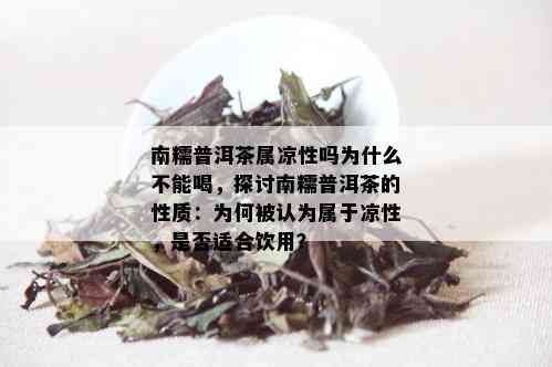 南糯普洱茶属凉性吗为什么不能喝，探讨南糯普洱茶的性质：为何被认为属于凉性，是否适合饮用？