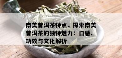 南美普洱茶特点，探索南美普洱茶的独特魅力：口感、功效与文化解析