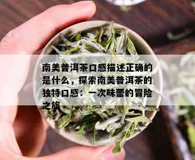 南美普洱茶口感描述正确的是什么，探索南美普洱茶的独特口感：一次味蕾的冒险之旅