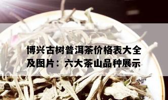 博兴古树普洱茶价格表大全及图片：六大茶山品种展示