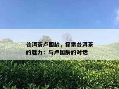 普洱茶卢国龄，探索普洱茶的魅力：与卢国龄的对话