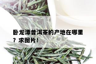 卧龙潭普洱茶的产地在哪里？求图片！