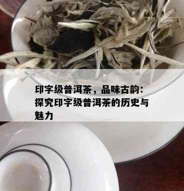 印字级普洱茶，品味古韵：探究印字级普洱茶的历史与魅力