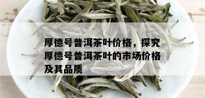 厚德号普洱茶叶价格，探究厚德号普洱茶叶的市场价格及其品质