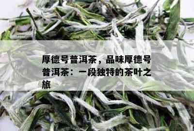 厚德号普洱茶，品味厚德号普洱茶：一段独特的茶叶之旅