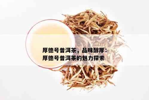 厚德号普洱茶，品味醇厚：厚德号普洱茶的魅力探索