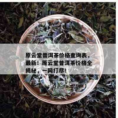 原云堂普洱茶价格查询表，最新！原云堂普洱茶价格全揭秘，一网打尽！