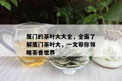 厦门的茶叶大大全，全面了解厦门茶叶大，一文带你领略茶香世界