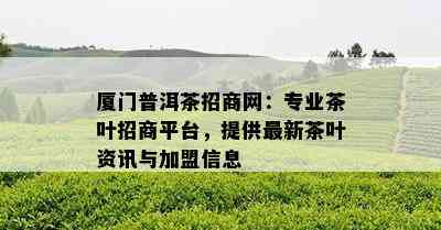 厦门普洱茶招商网：专业茶叶招商平台，提供最新茶叶资讯与加盟信息