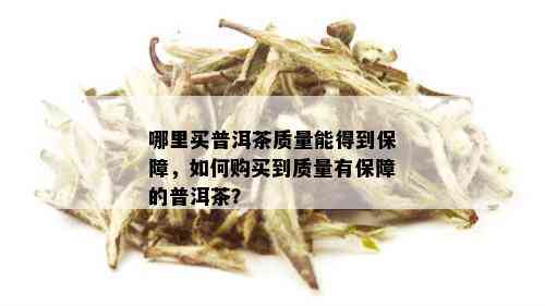 哪里买普洱茶质量能得到保障，如何购买到质量有保障的普洱茶？