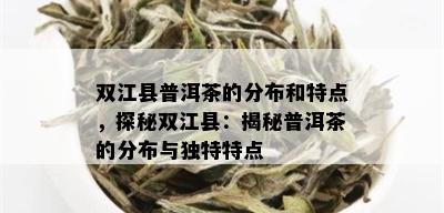 双江县普洱茶的分布和特点，探秘双江县：揭秘普洱茶的分布与独特特点