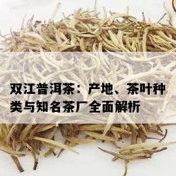 双江普洱茶：产地、茶叶种类与知名茶厂全面解析