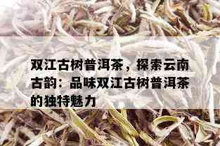 双江古树普洱茶，探索云南古韵：品味双江古树普洱茶的独特魅力