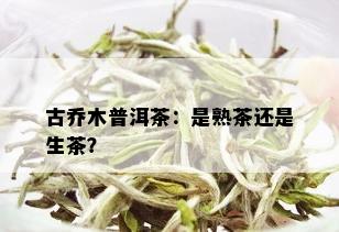 古乔木普洱茶：是熟茶还是生茶？