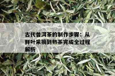 古代普洱茶的制作步骤：从鲜叶采摘到熟茶完成全过程解析