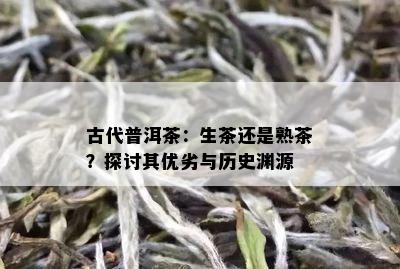 古代普洱茶：生茶还是熟茶？探讨其优劣与历史渊源
