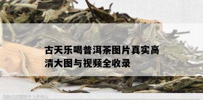 古天乐喝普洱茶图片真实高清大图与视频全收录