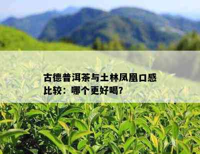 古德普洱茶与土林凤凰口感比较：哪个更好喝？