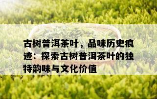 古树普洱茶叶，品味历史痕迹：探索古树普洱茶叶的独特韵味与文化价值