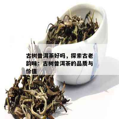 古树普洱茶好吗，探索古老韵味：古树普洱茶的品质与价值