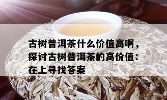 古树普洱茶什么价值高啊，探讨古树普洱茶的高价值：在上寻找答案