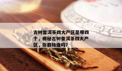 古树普洱茶四大产区是哪四个，揭秘古树普洱茶四大产区，你都知道吗？