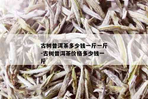 古树普洱茶多少钱一斤一斤-古树普洱茶价格多少钱一斤