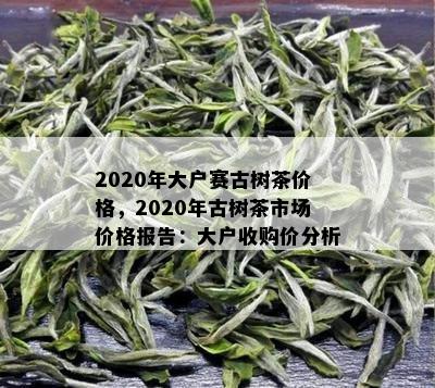 2020年大户赛古树茶价格，2020年古树茶市场价格报告：大户收购价分析