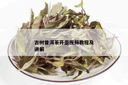 古树普洱茶开壶视频教程及讲解