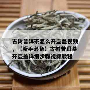 古树普洱茶怎么开壶盖视频，【新手必备】古树普洱茶开壶盖详细步骤视频教程