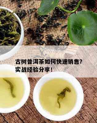 古树普洱茶如何快速销售？实战经验分享！