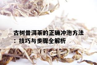 古树普洱茶的正确冲泡方法：技巧与步骤全解析